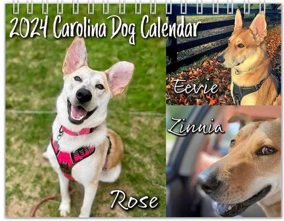 Carolina Dog Calendar