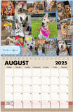 2025 Carolina Dog Calendar