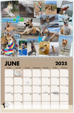 2025 Carolina Dog Calendar