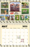 2025 Carolina Dog Calendar