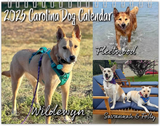 2025 Carolina Dog Calendar