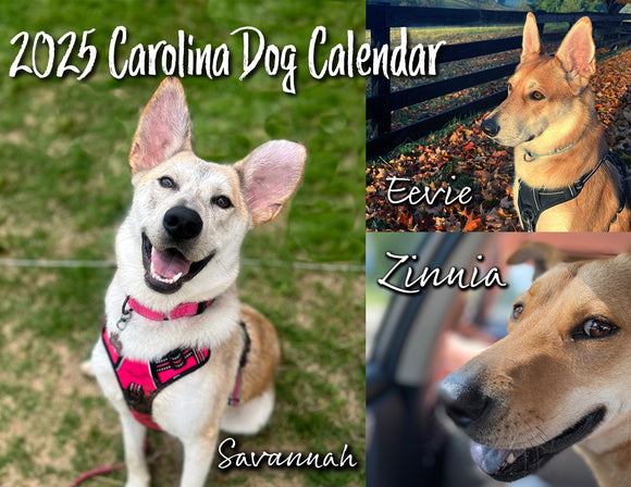 2025 Carolina Dog Calendar